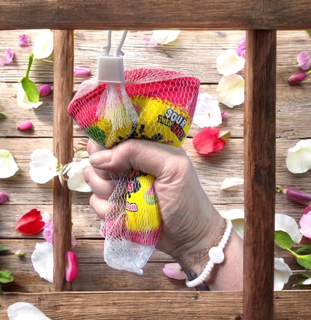 Assorted Squishy Snacks Shaped Novelty Toys