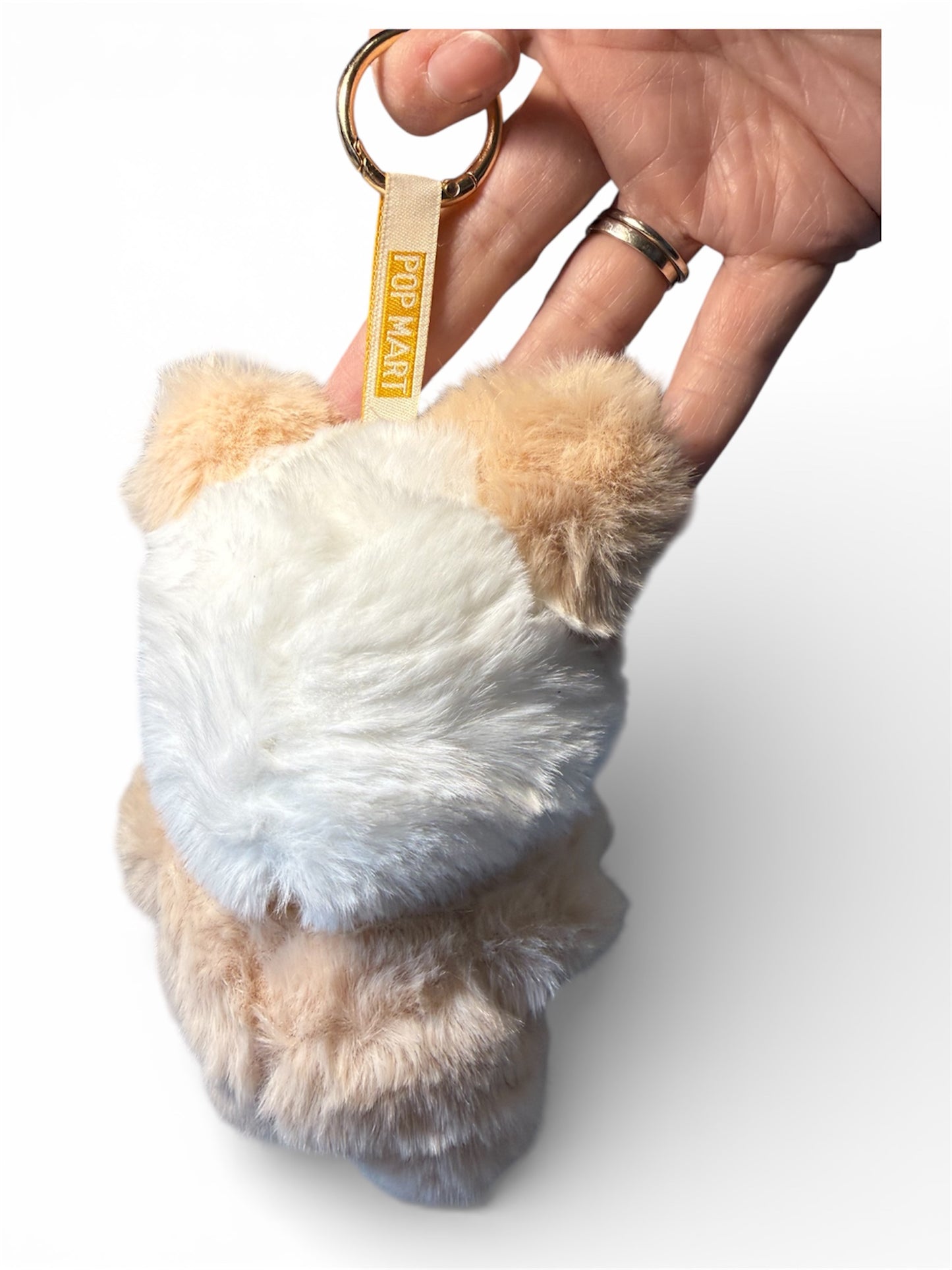 Bear Fantasy Character