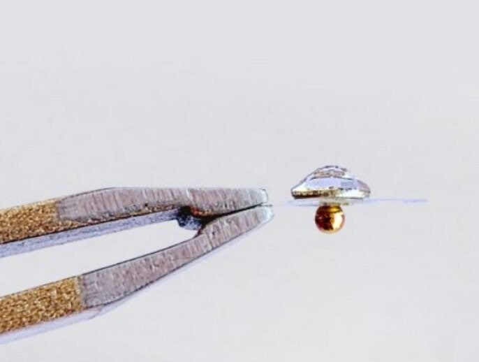 DELUXE Ear Seed kit