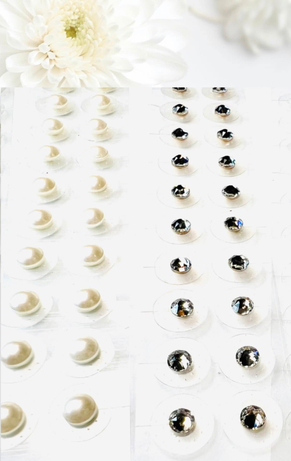 DELUXE Ear Seed kit